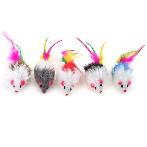 Cat Toys InteractiveのベストセラーCat Supply