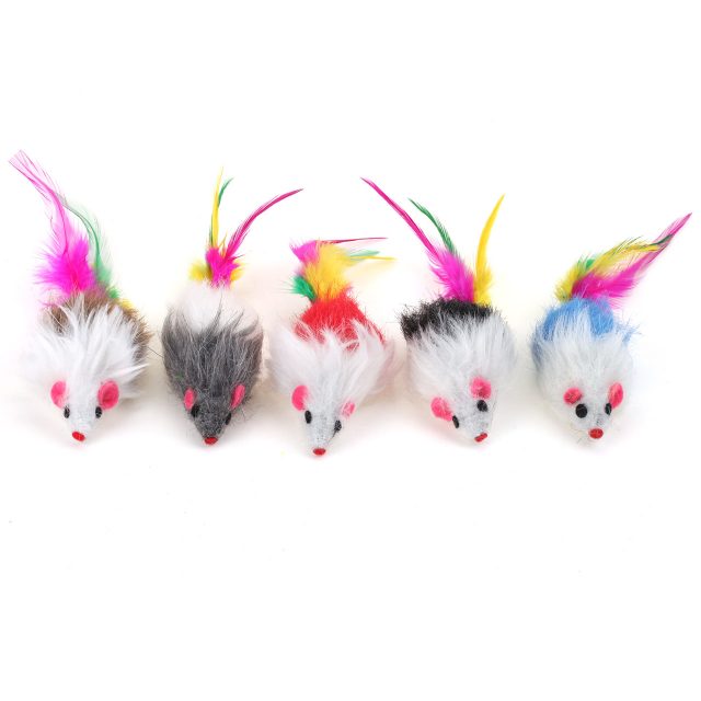 Cat Toys Interactive Best Seller Forniture per gatti