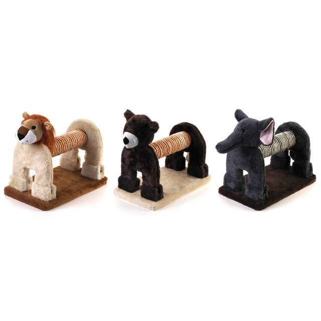 Gato Brinquedos Gato Engraçado Prato Brincando Brinquedo