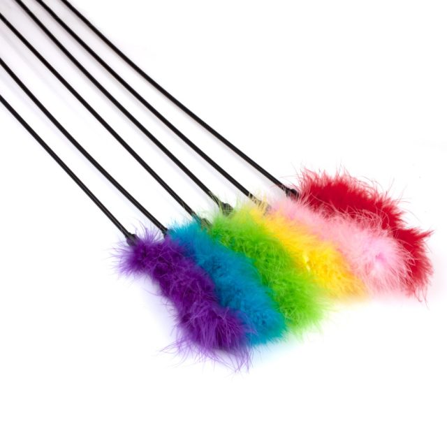 Cat Supply Feather Cat Hračky Cat Wand Cat Stick