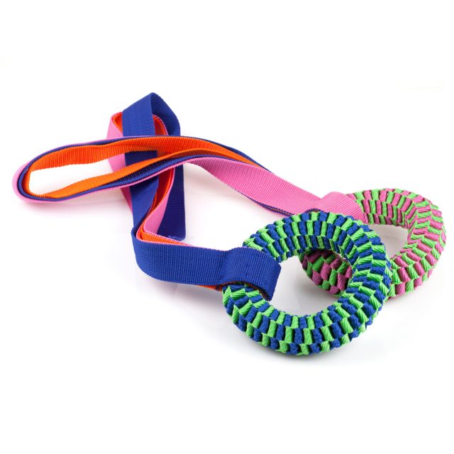 Pet Supply Interactive Plush Dog Toys