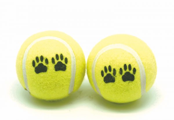 Dog Toy Rubber Toy Sponge Ball Tennis Ball