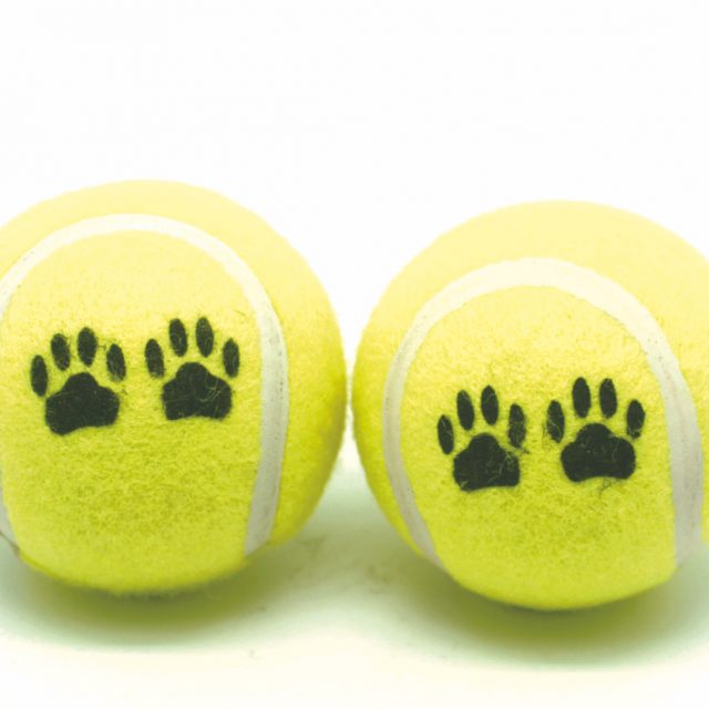 Dog Toy Rubber Toy Sponge Ball Tennis Ball