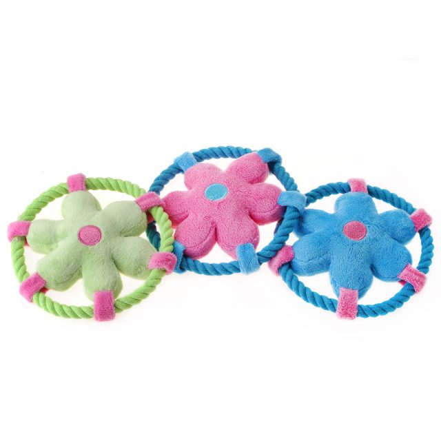 Pet Squeeze Squeaky Toy Fetch Play
