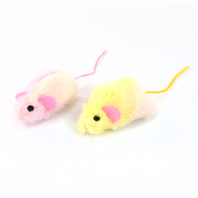 Cat Toys