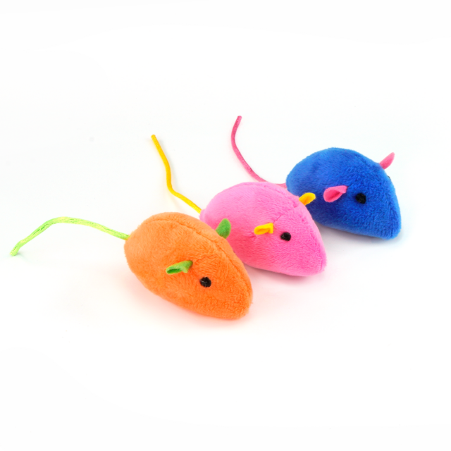 Cat Toys