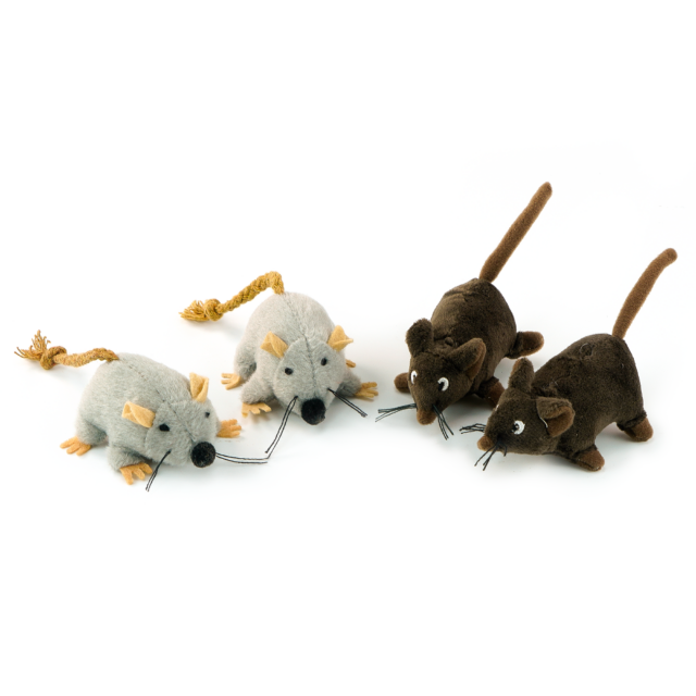 Cat Toys