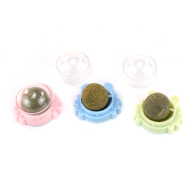 Cat Toys