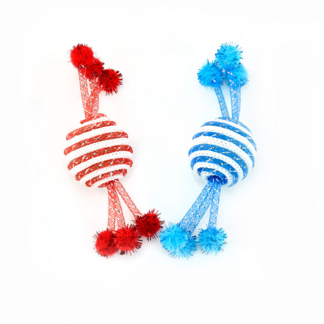 Cat Toy