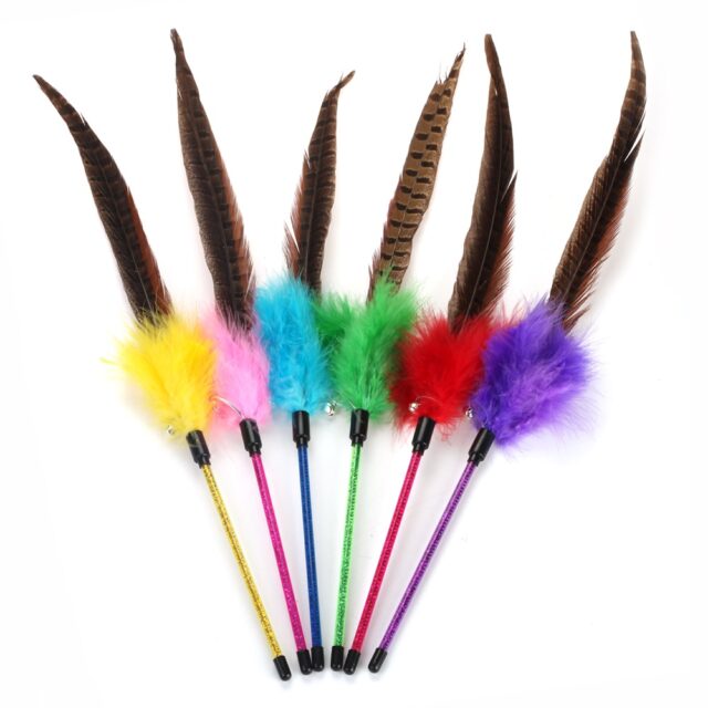 Cat Supply Cat Wand Cat Stick