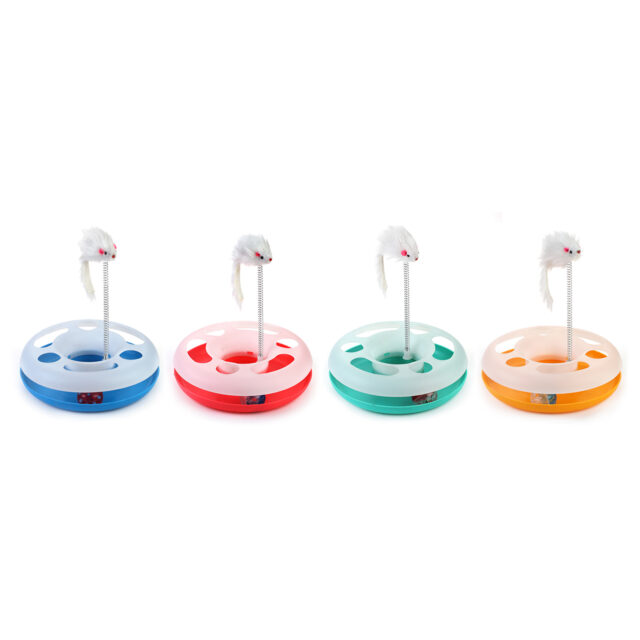 Gato Brinquedos Gato Engraçado Prato Brincando Brinquedo