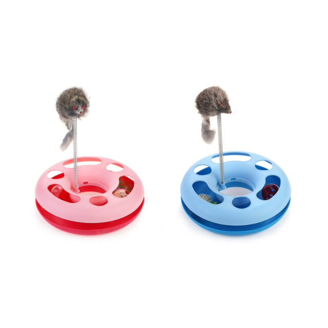 Gato Brinquedos Gato Engraçado Prato Brincando Brinquedo