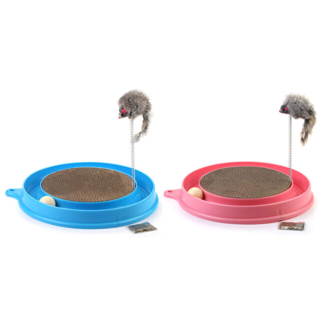 Gato Brinquedos Gato Engraçado Prato Brincando Brinquedo