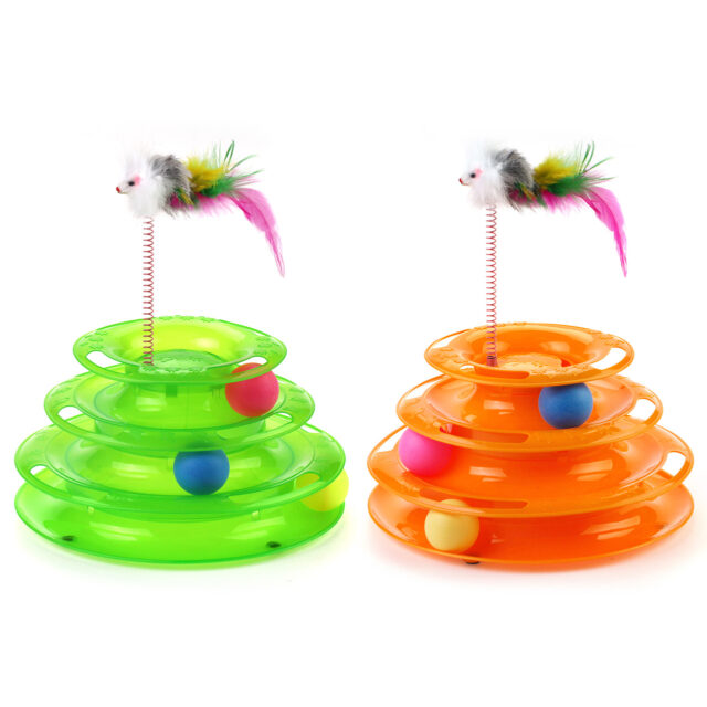 Gato Brinquedos Gato Engraçado Prato Brincando Brinquedo