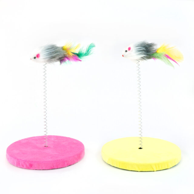 Gato Brinquedos Gato Engraçado Prato Brincando Brinquedo