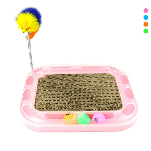 Gato Brinquedos Gato Engraçado Prato Brincando Brinquedo