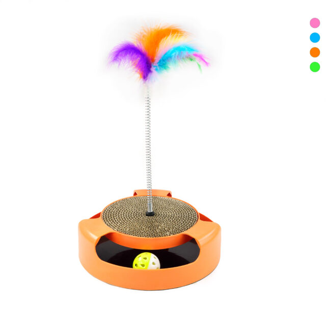 Gato Brinquedos Gato Engraçado Prato Brincando Brinquedo