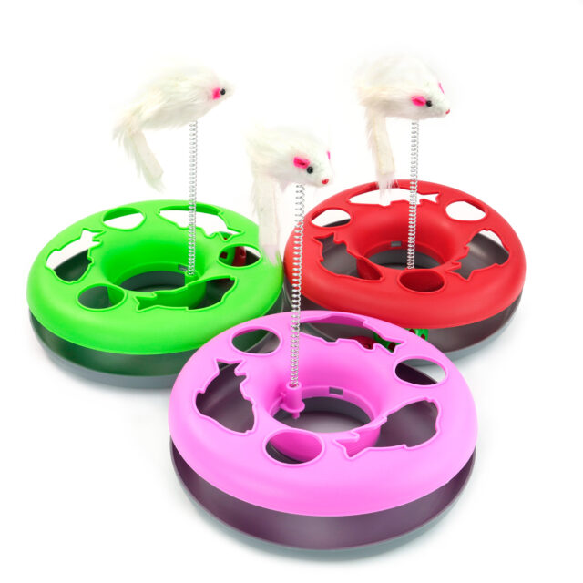 Gato Brinquedos Gato Engraçado Prato Brincando Brinquedo