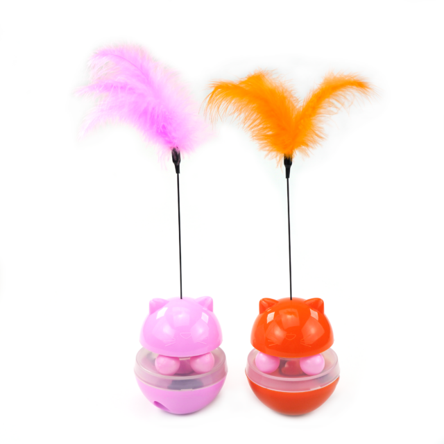 Gato Brinquedos Gato Engraçado Prato Brincando Brinquedo