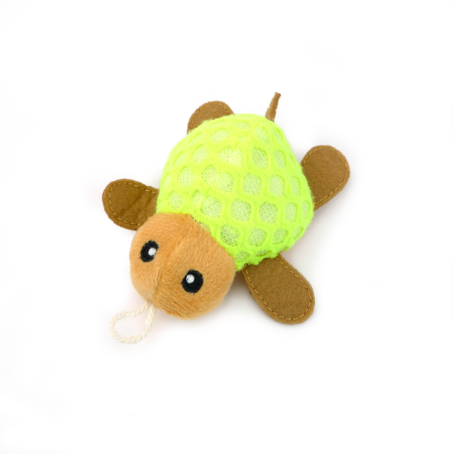 Jucătorii de pisici Jucătorii de pisici Jucați jocuri amuzante