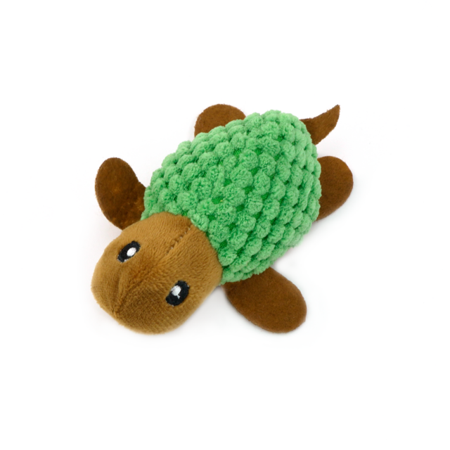 Jucătorii de pisici Jucătorii de pisici Jucați jocuri amuzante