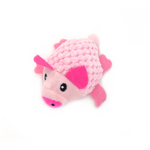 Jucătorii de pisici Jucătorii de pisici Jucați jocuri amuzante